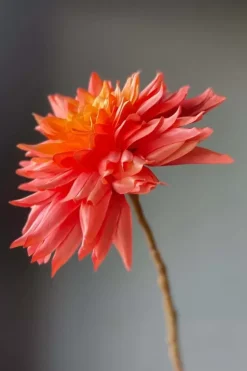 Pip Studio Pip Kunstbloemen Sweet Symphony Online